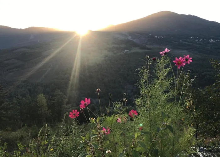 Le Spine B&B Sulla Via Francigena