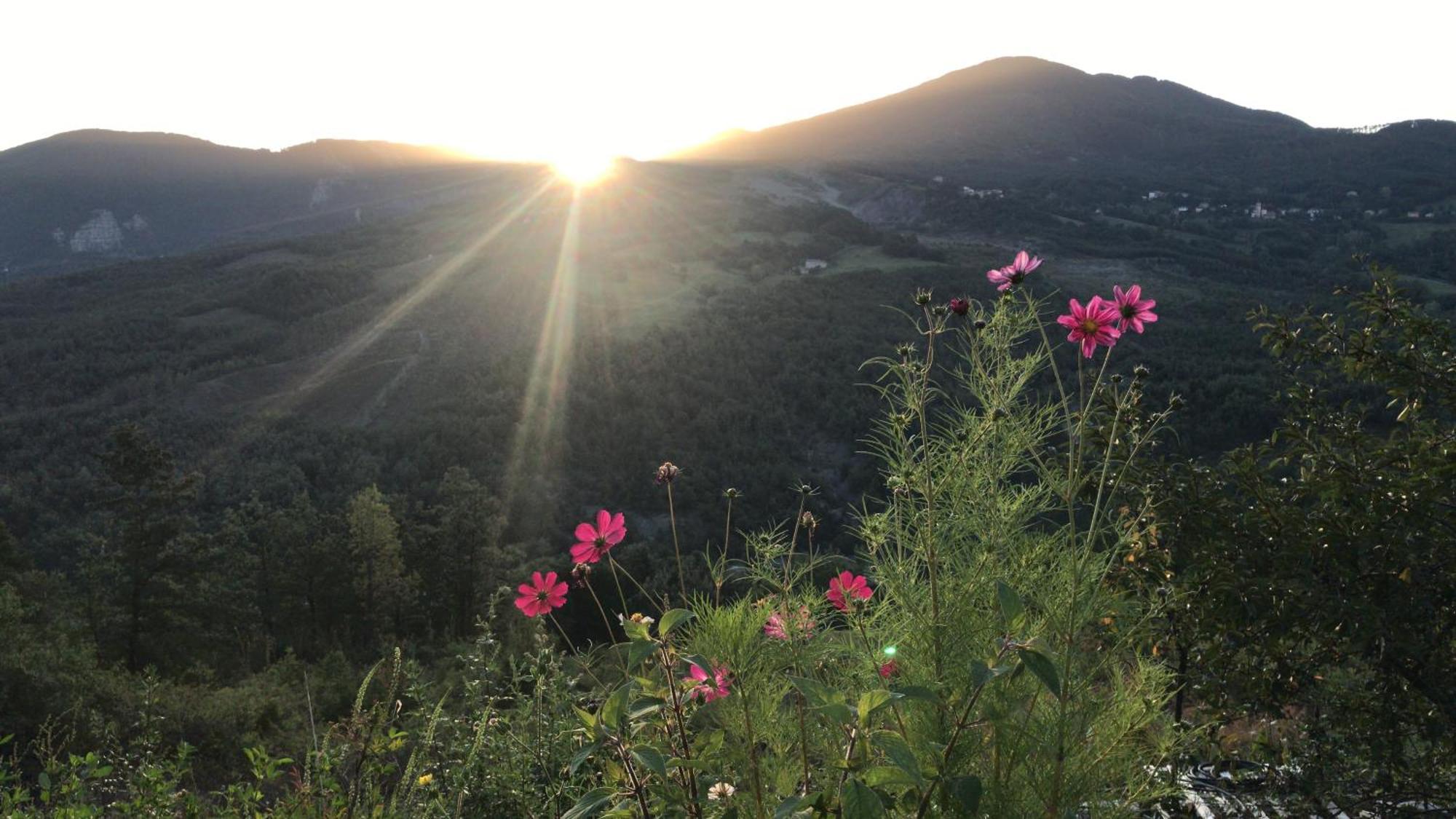 Le Spine Sulla Via Francigena Berceto